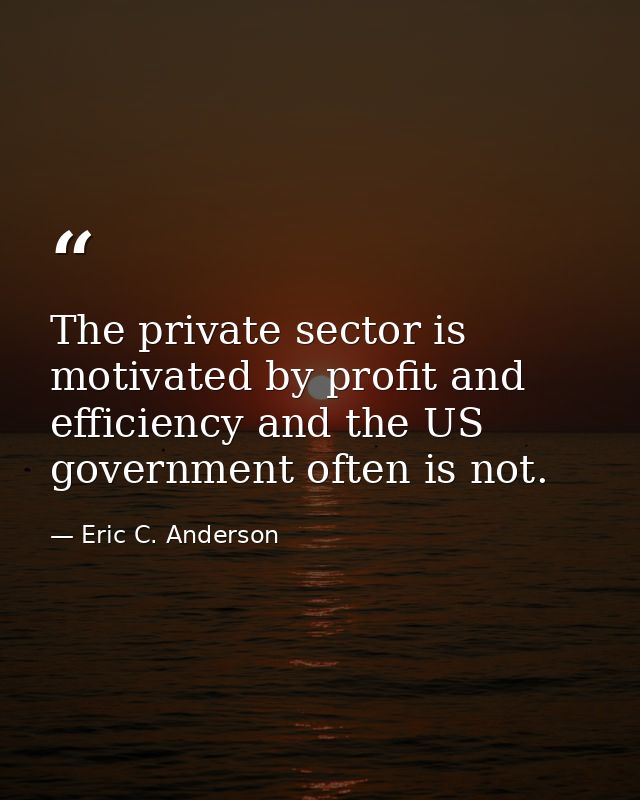 The private sector is motivated by profit and efficiency and the US government often is not. — Eric C. Anderson