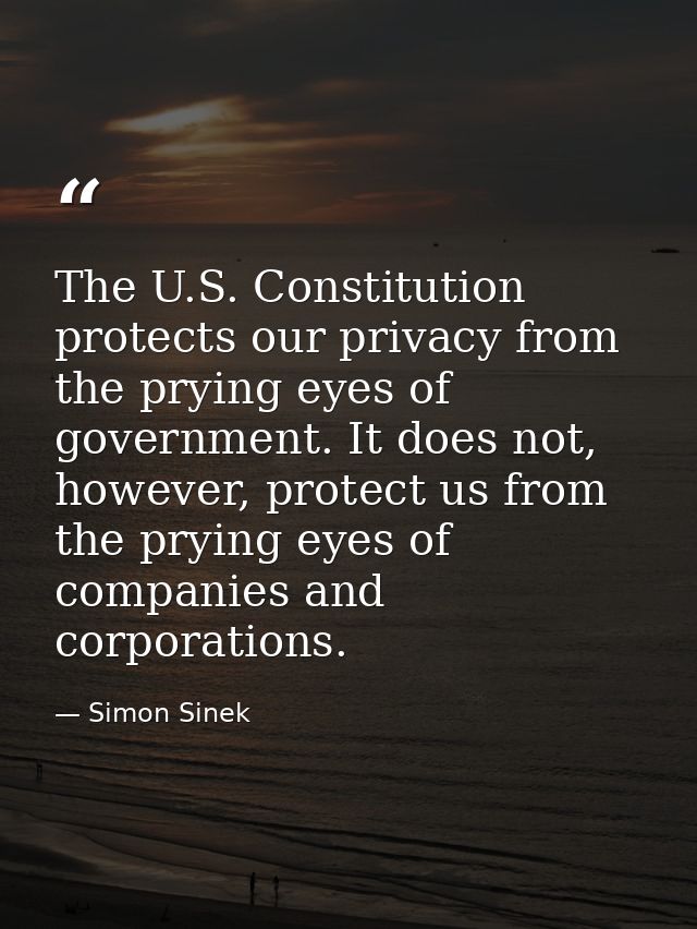 The U.S. Constitution protects our privacy from the prying eyes of government. It does not, however, protect us from the — Simon Sinek