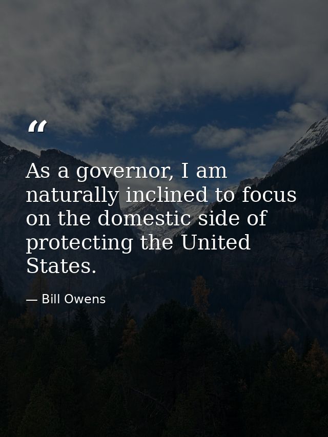 As a governor, I am naturally inclined to focus on the domestic side of protecting the United States. — Bill Owens
