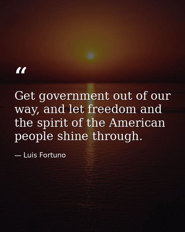 Get government out of our way, and let freedom and the spirit of the American people shine through. — Luis Fortuno