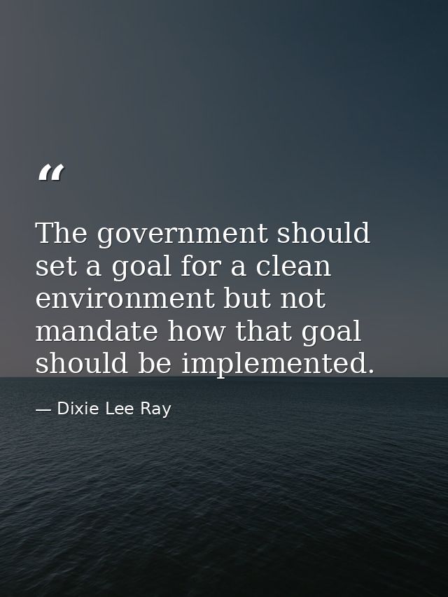 The government should set a goal for a clean environment but not mandate how that goal should be implemented. — Dixie Lee Ray