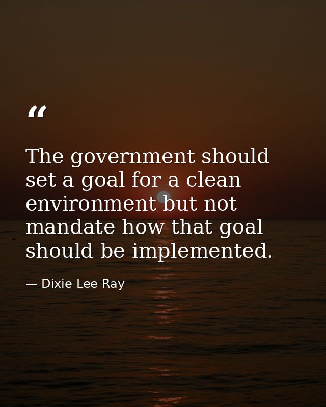 The government should set a goal for a clean environment but not mandate how that goal should be implemented. — Dixie Lee Ray