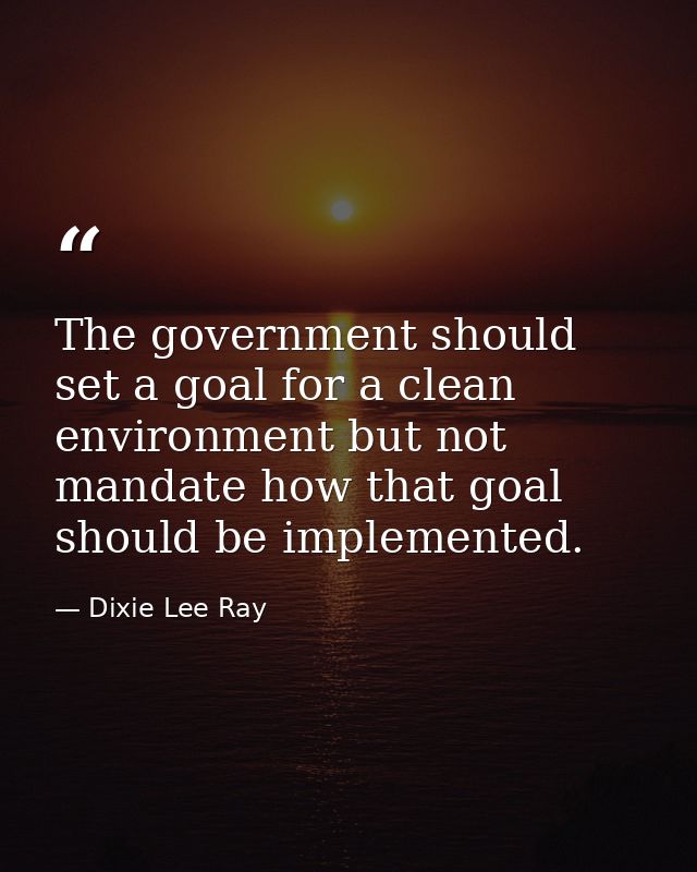 The government should set a goal for a clean environment but not mandate how that goal should be implemented. — Dixie Lee Ray