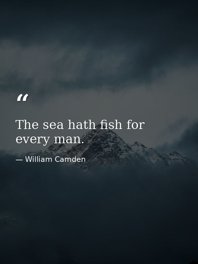 The sea hath fish for every man. — William Camden