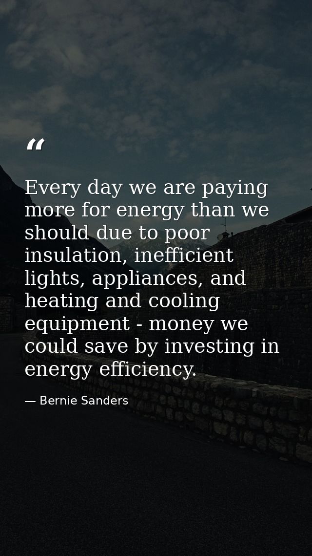 Every day we are paying more for energy than we should due to poor insulation, inefficient lights, appliances, and heati — Bernie Sanders