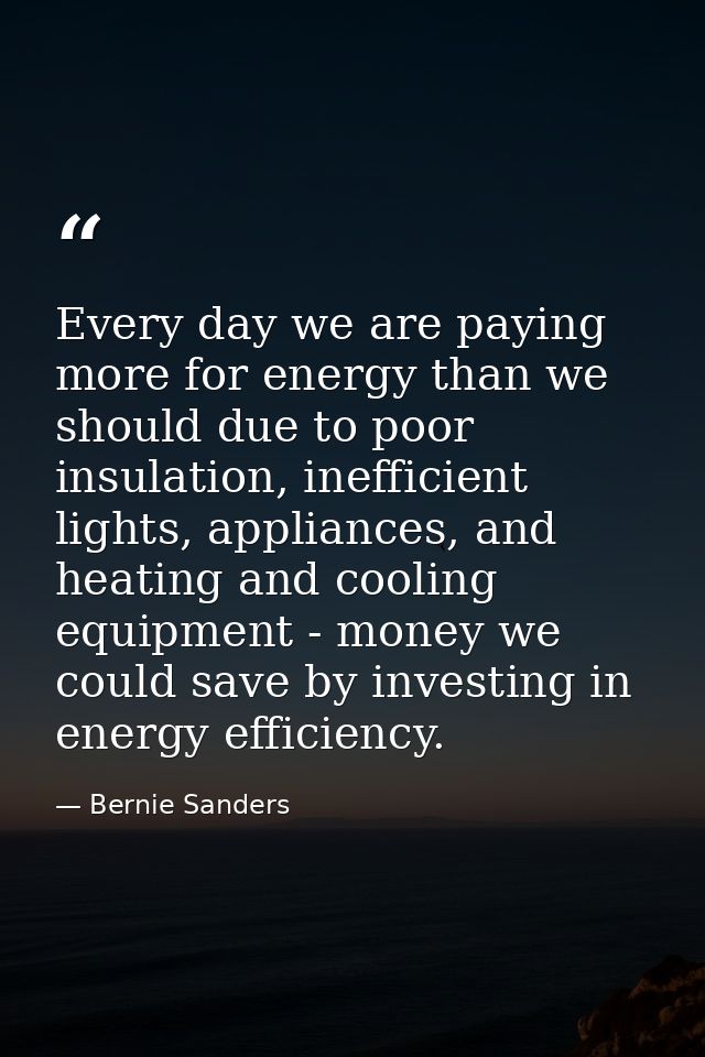Every day we are paying more for energy than we should due to poor insulation, inefficient lights, appliances, and heati — Bernie Sanders