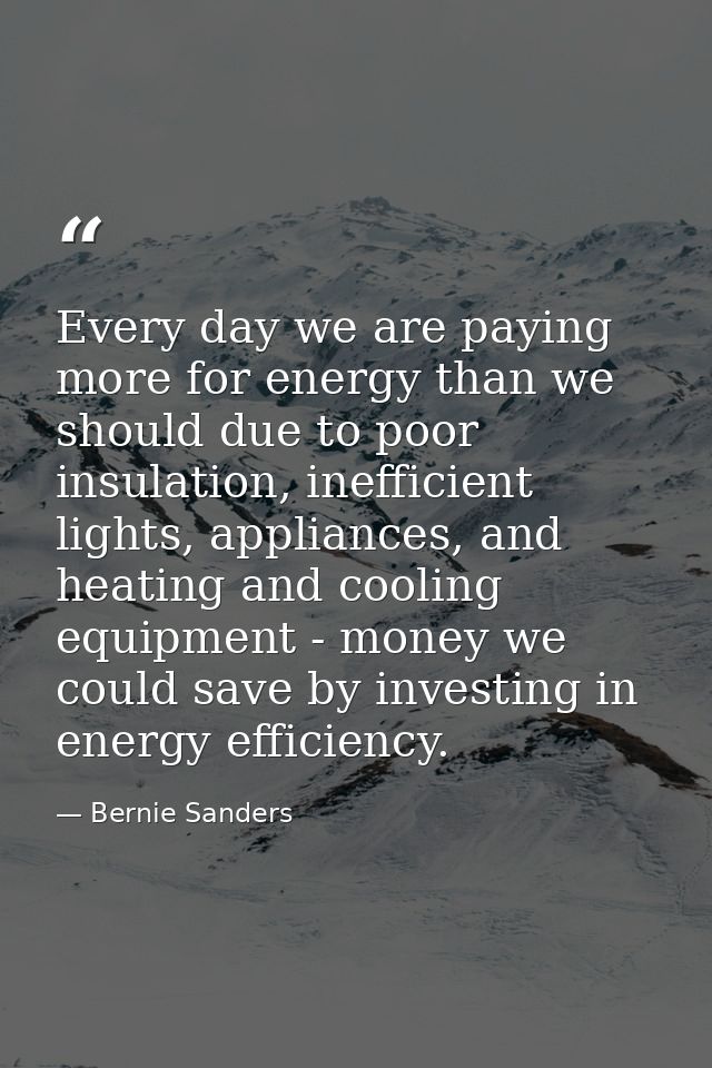 Every day we are paying more for energy than we should due to poor insulation, inefficient lights, appliances, and heati — Bernie Sanders