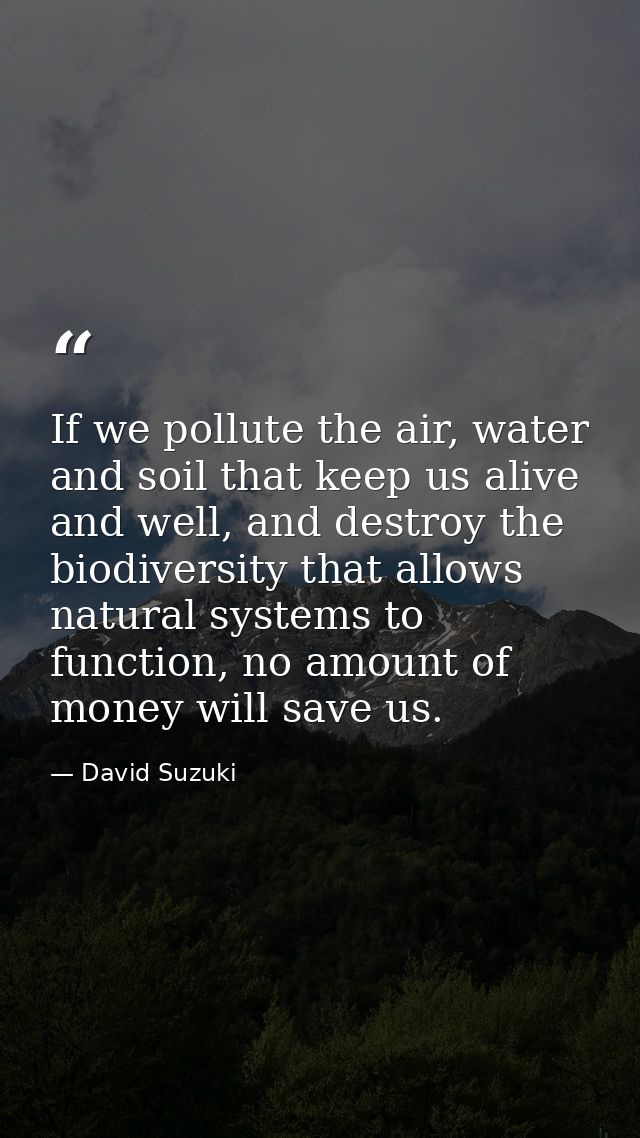 If we pollute the air, water and soil that keep us alive and well, and destroy the biodiversity that allows natural syst — David Suzuki