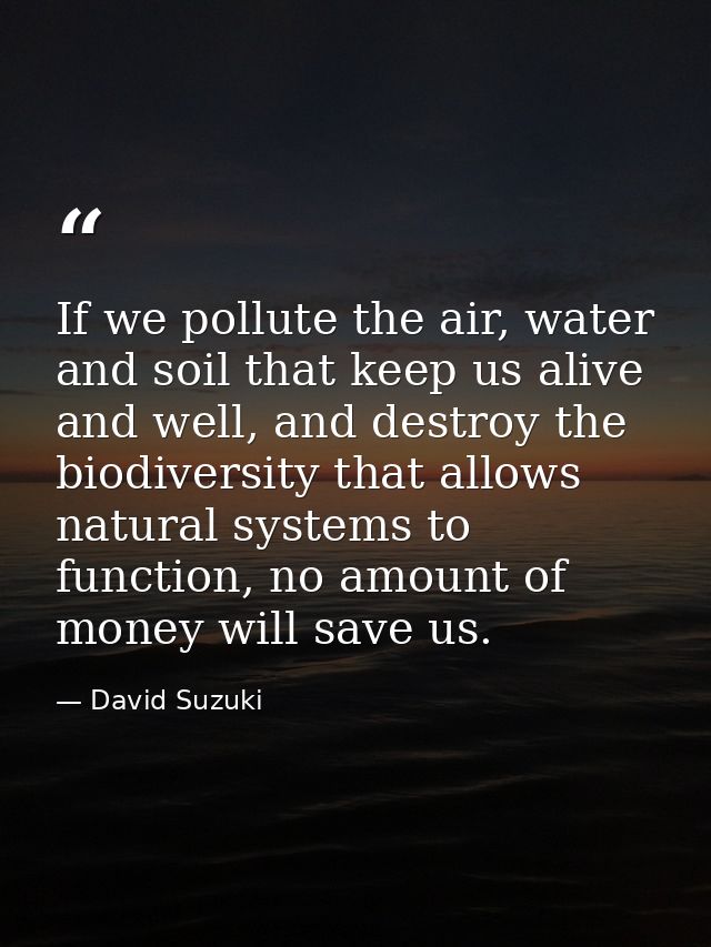 If we pollute the air, water and soil that keep us alive and well, and destroy the biodiversity that allows natural syst — David Suzuki