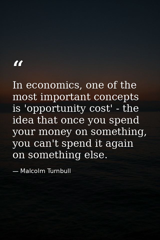 In economics, one of the most important concepts is 'opportunity cost' - the idea that once you spend your money on some — Malcolm Turnbull