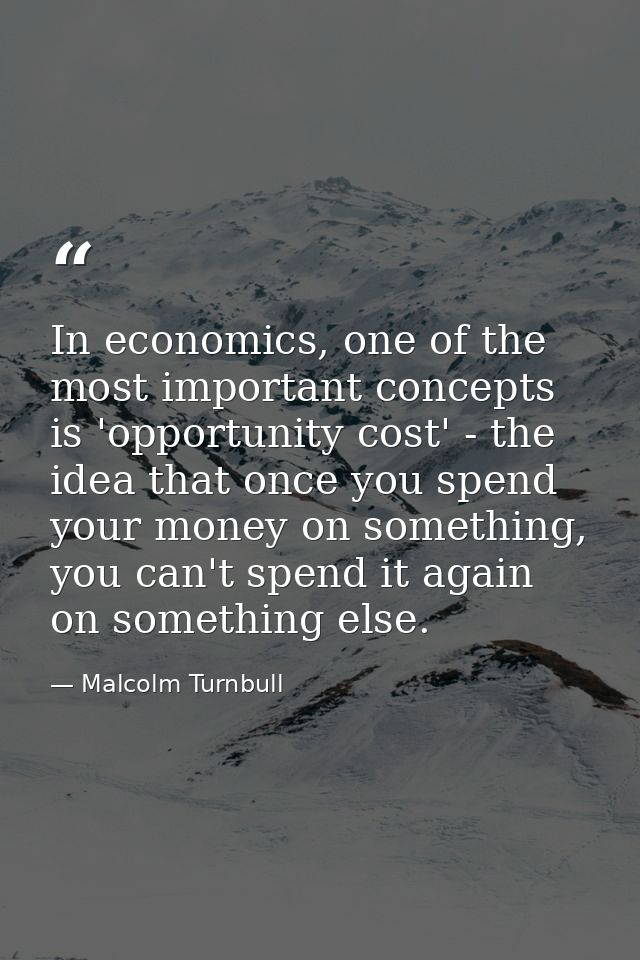 In economics, one of the most important concepts is 'opportunity cost' - the idea that once you spend your money on some — Malcolm Turnbull