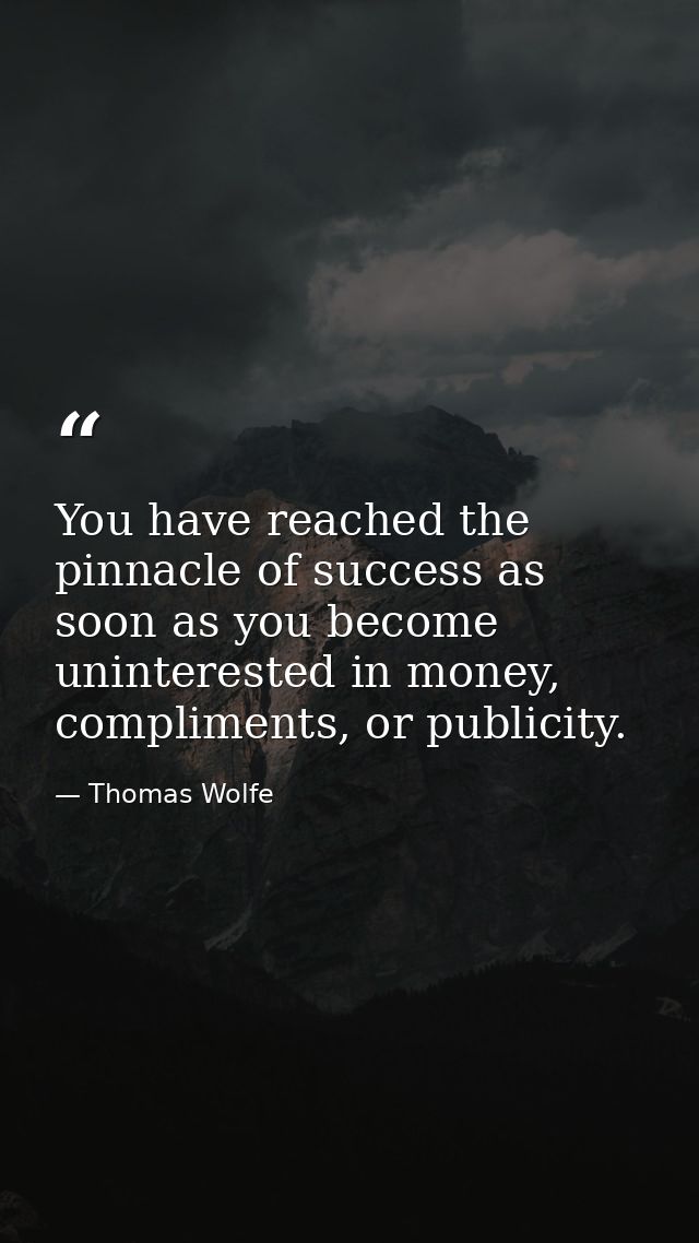 You have reached the pinnacle of success as soon as you become uninterested in money, compliments, or publicity. — Thomas Wolfe