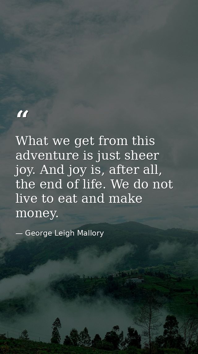 What we get from this adventure is just sheer joy. And joy is, after all, the end of life. We do not live to eat and mak — George Leigh Mallory
