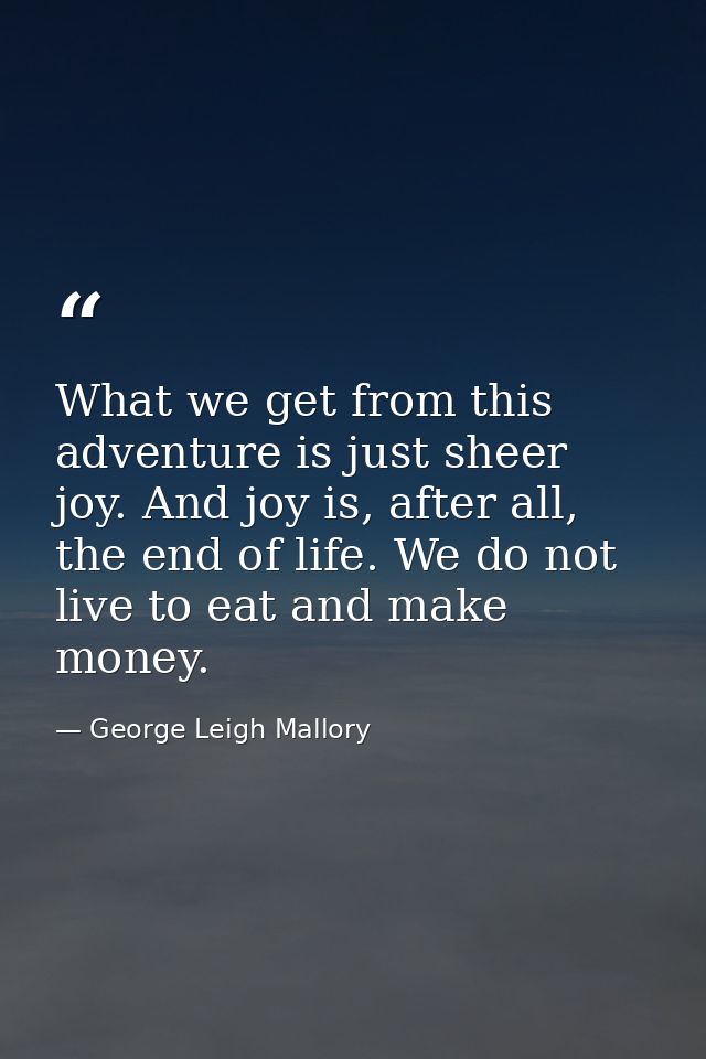 What we get from this adventure is just sheer joy. And joy is, after all, the end of life. We do not live to eat and mak — George Leigh Mallory