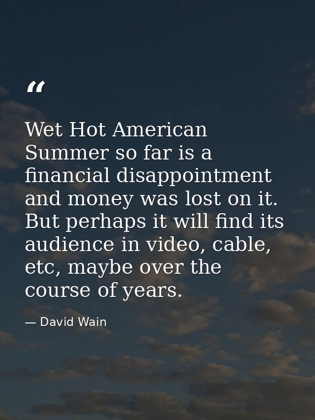 Wet Hot American Summer so far is a financial disappointment and money was lost on it. But perhaps it will find its audi — David Wain