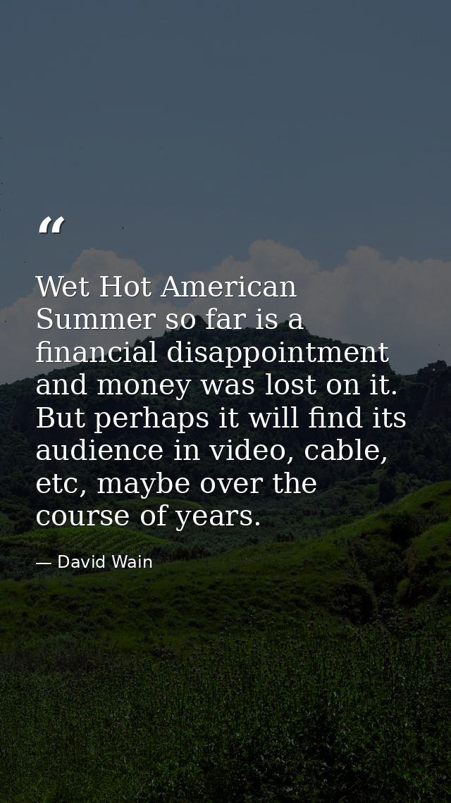 Wet Hot American Summer so far is a financial disappointment and money was lost on it. But perhaps it will find its audi — David Wain