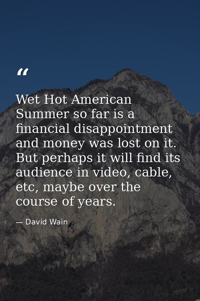 Wet Hot American Summer so far is a financial disappointment and money was lost on it. But perhaps it will find its audi — David Wain