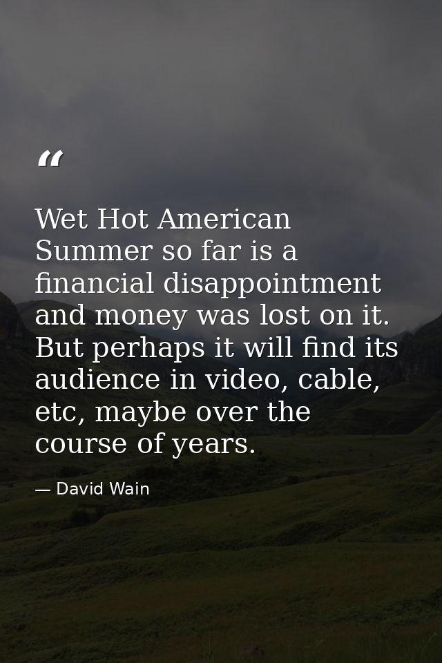 Wet Hot American Summer so far is a financial disappointment and money was lost on it. But perhaps it will find its audi — David Wain