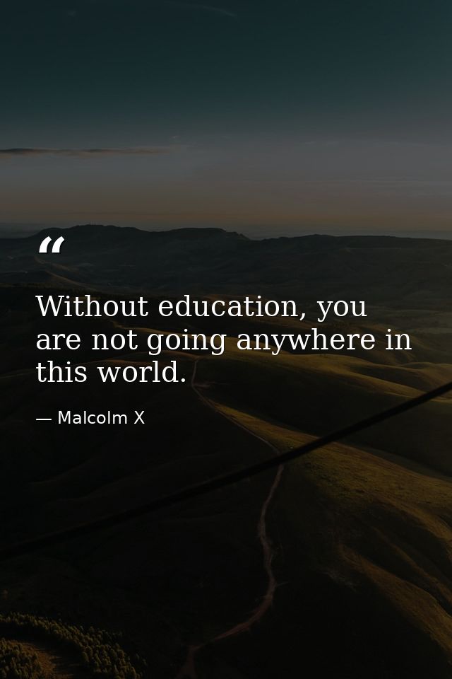 Without education, you are not going anywhere in this world. — Malcolm X