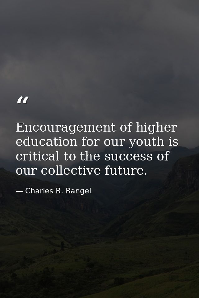 Encouragement of higher education for our youth is critical to the success of our collective future. — Charles B. Rangel
