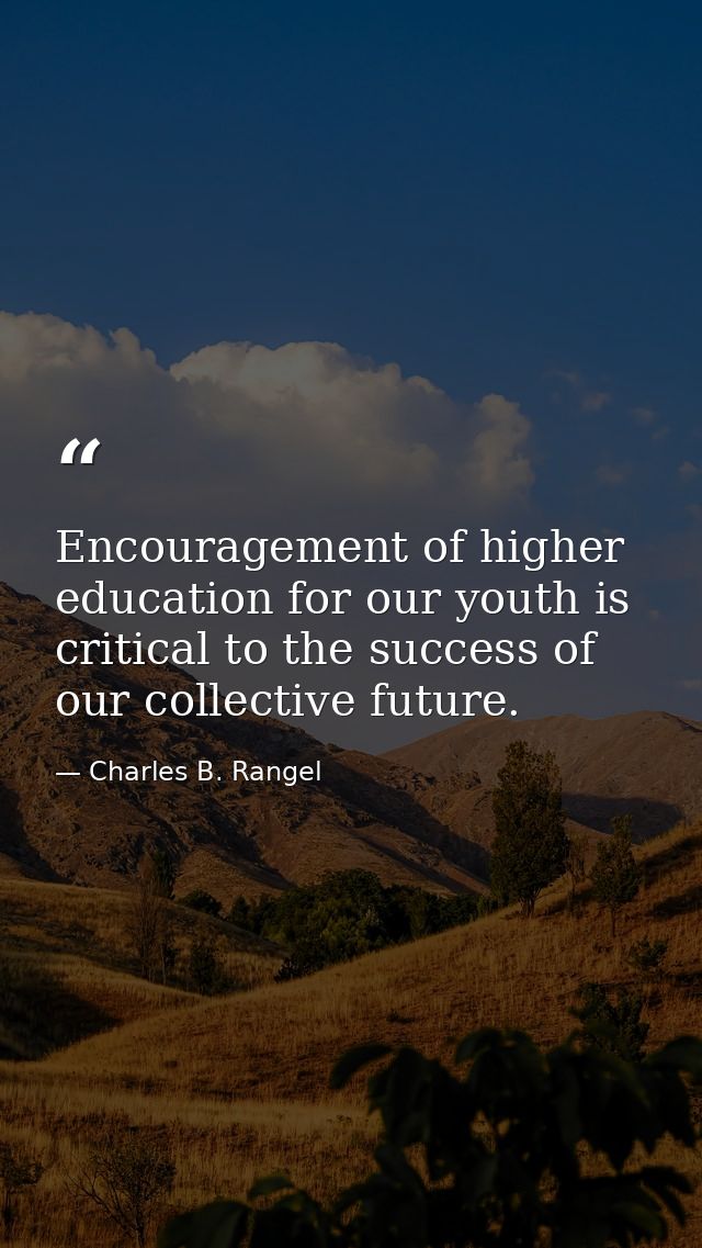 Encouragement of higher education for our youth is critical to the success of our collective future. — Charles B. Rangel