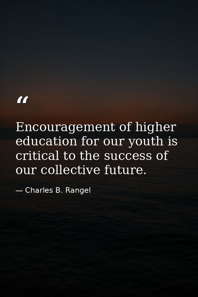 Encouragement of higher education for our youth is critical to the success of our collective future. — Charles B. Rangel