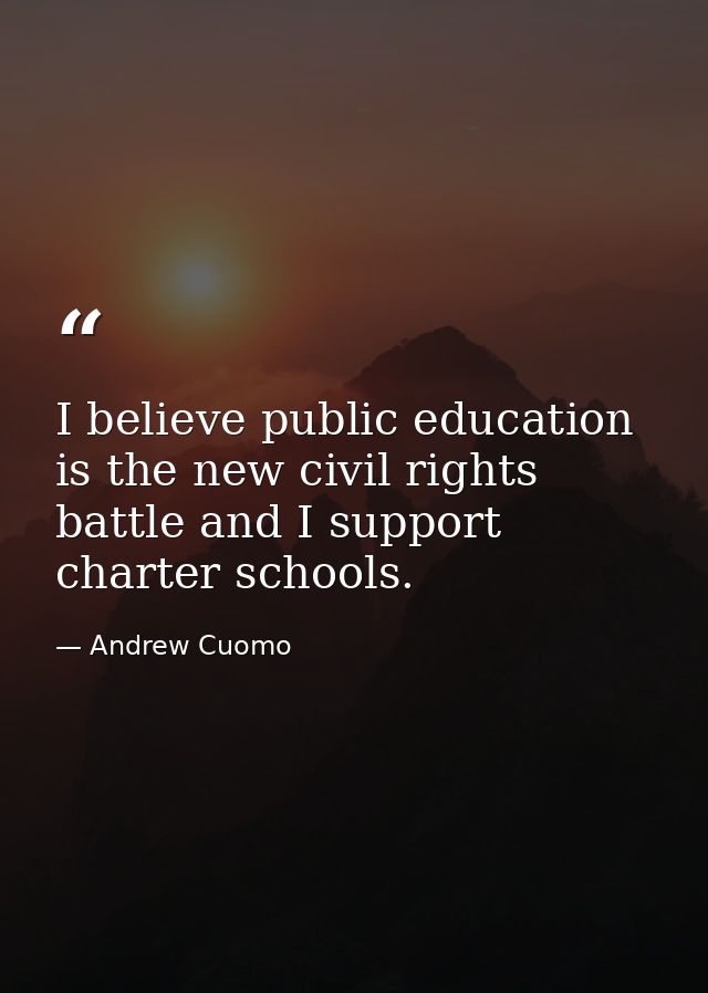 I believe public education is the new civil rights battle and I support charter schools. — Andrew Cuomo