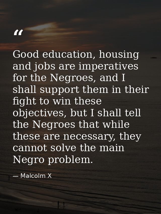 Good education, housing and jobs are imperatives for the Negroes, and I shall support them in their fight to win these o — Malcolm X