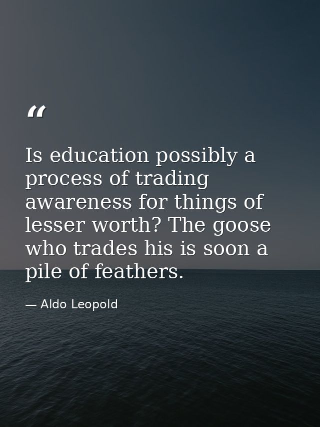 Is education possibly a process of trading awareness for things of lesser worth? The goose who trades his is soon a pile — Aldo Leopold