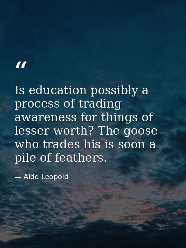 Is education possibly a process of trading awareness for things of lesser worth? The goose who trades his is soon a pile — Aldo Leopold