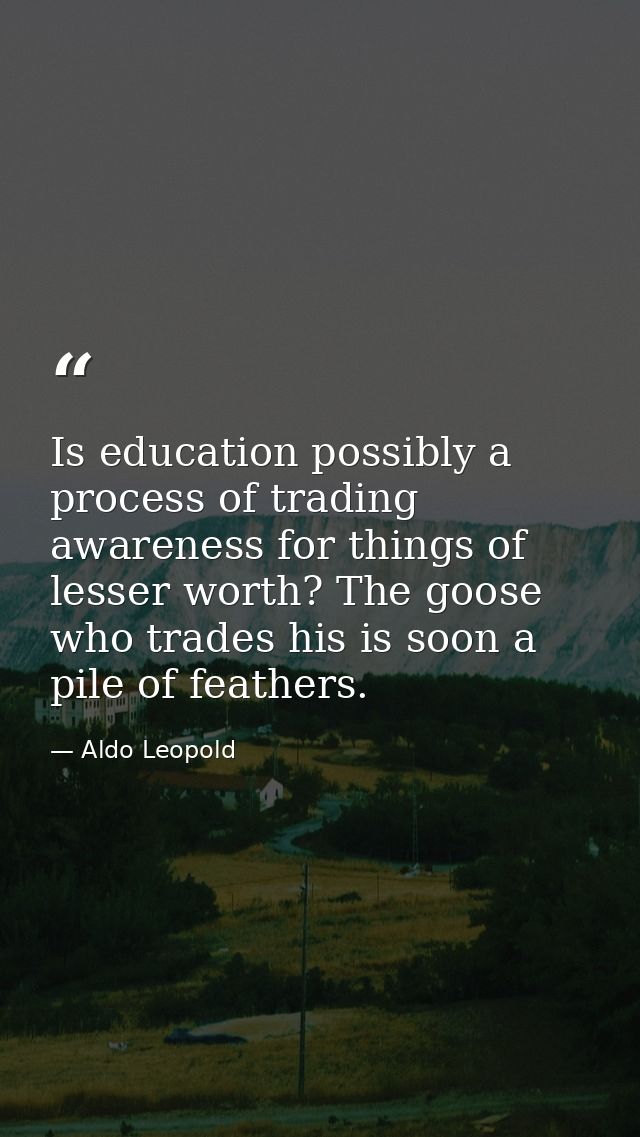 Is education possibly a process of trading awareness for things of lesser worth? The goose who trades his is soon a pile — Aldo Leopold