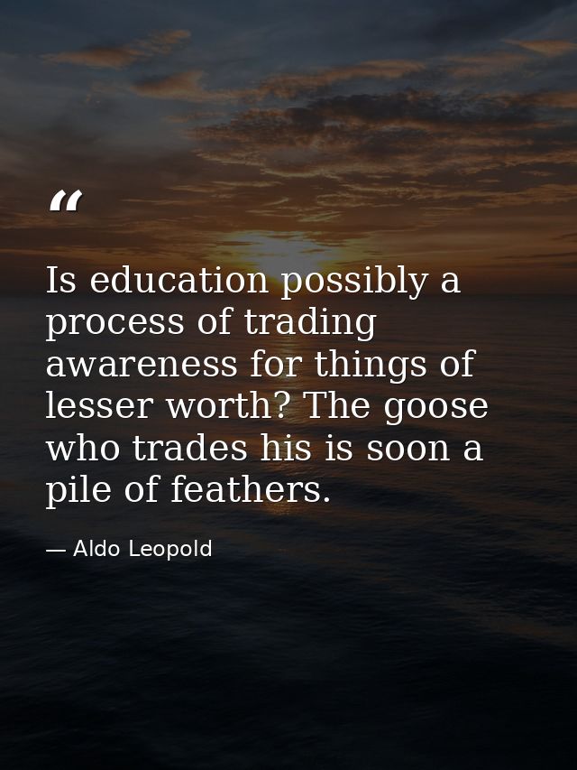 Is education possibly a process of trading awareness for things of lesser worth? The goose who trades his is soon a pile — Aldo Leopold