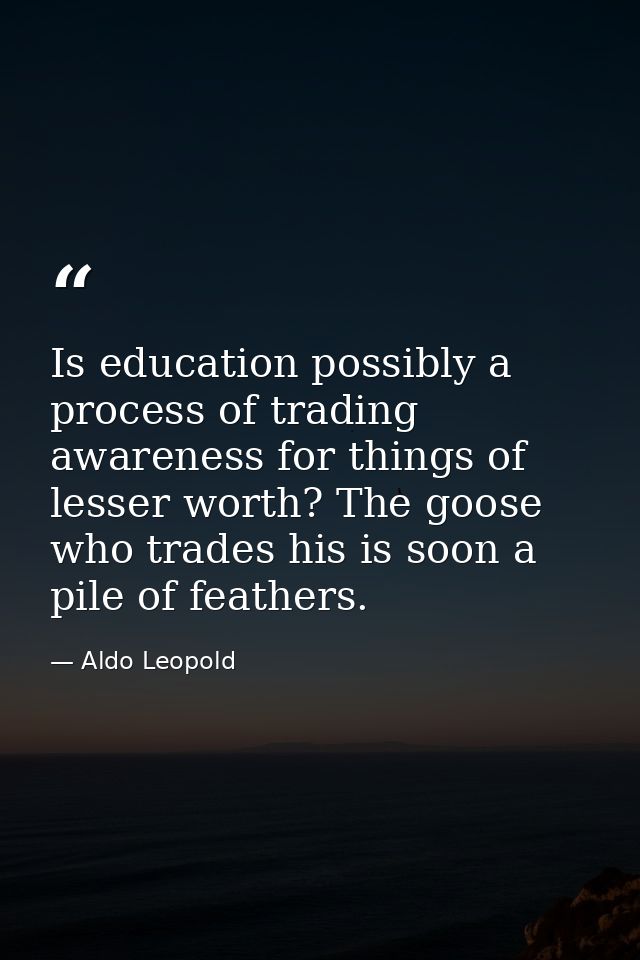 Is education possibly a process of trading awareness for things of lesser worth? The goose who trades his is soon a pile — Aldo Leopold