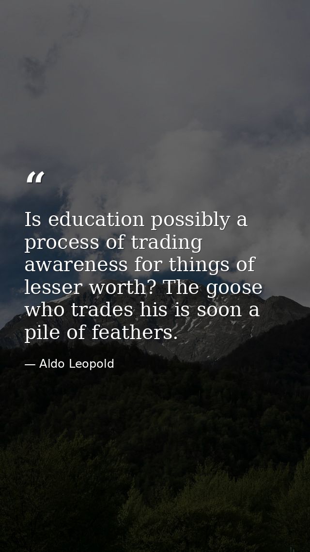 Is education possibly a process of trading awareness for things of lesser worth? The goose who trades his is soon a pile — Aldo Leopold