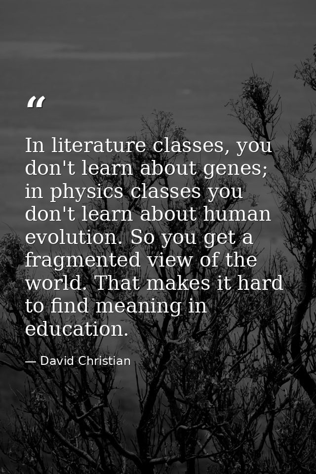 In literature classes, you don't learn about genes; in physics classes you don't learn about human evolution. So you get — David Christian