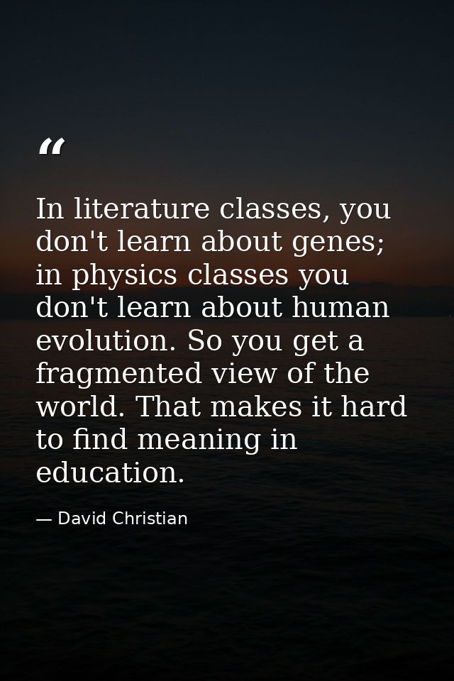 In literature classes, you don't learn about genes; in physics classes you don't learn about human evolution. So you get — David Christian