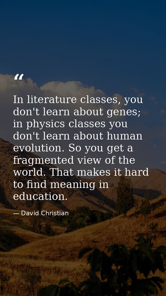 In literature classes, you don't learn about genes; in physics classes you don't learn about human evolution. So you get — David Christian