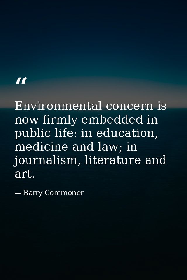 Environmental concern is now firmly embedded in public life: in education, medicine and law; in journalism, literature a — Barry Commoner
