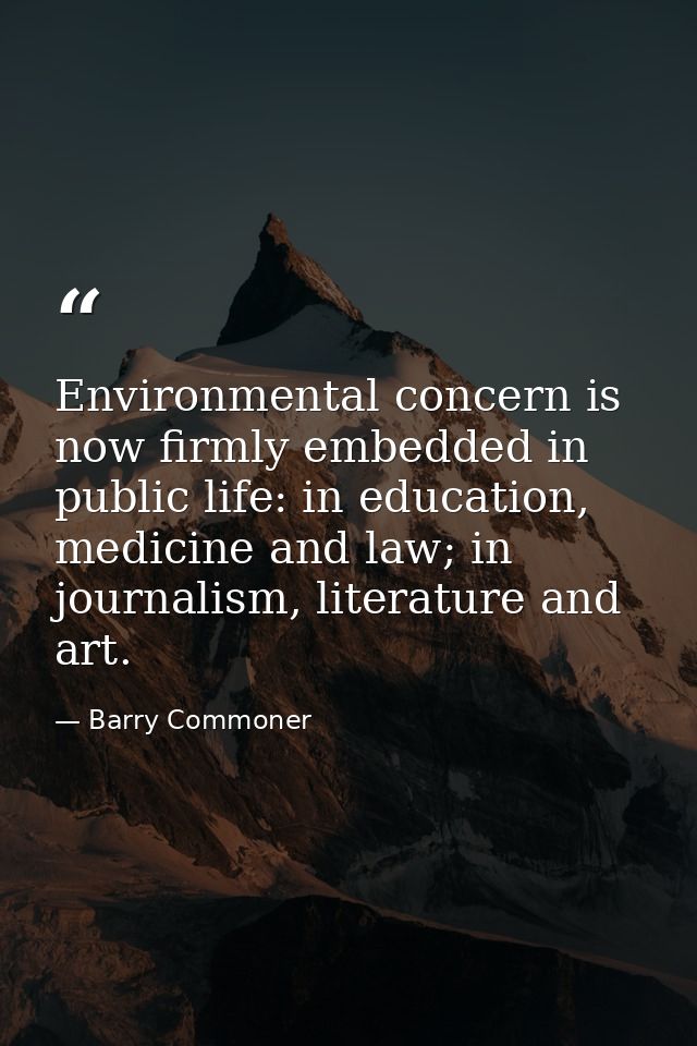 Environmental concern is now firmly embedded in public life: in education, medicine and law; in journalism, literature a — Barry Commoner