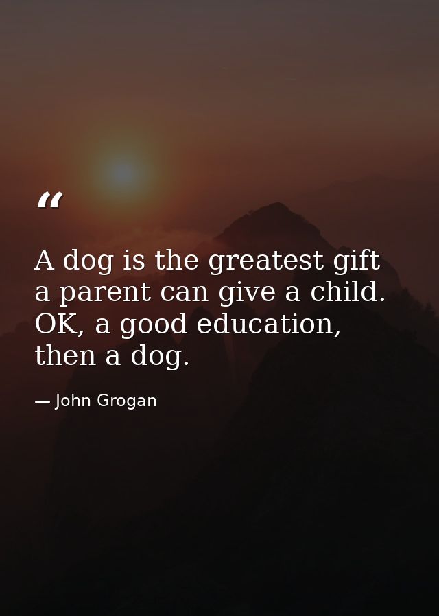 A dog is the greatest gift a parent can give a child. OK, a good education, then a dog. — John Grogan