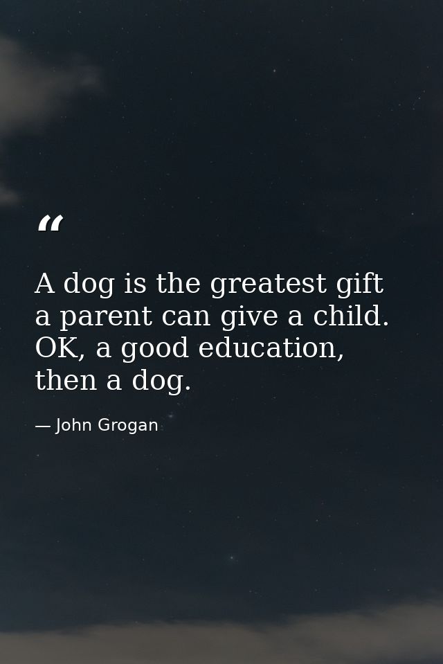 A dog is the greatest gift a parent can give a child. OK, a good education, then a dog. — John Grogan