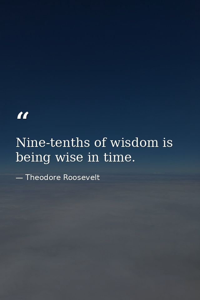 Nine-tenths of wisdom is being wise in time. — Theodore Roosevelt