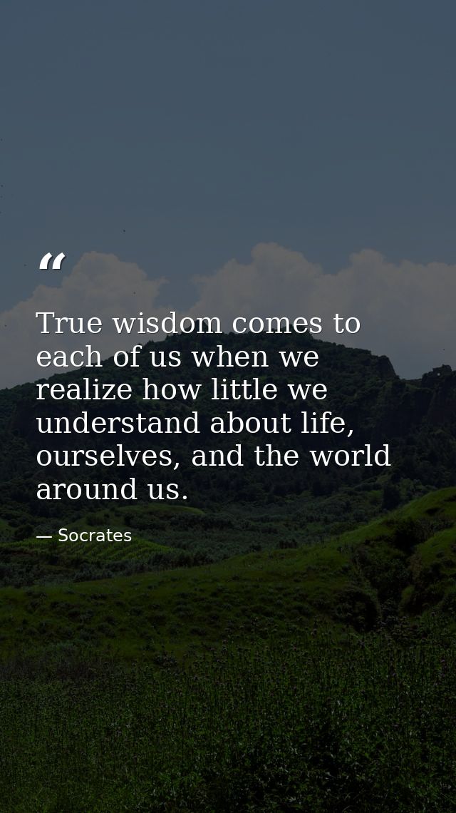 True wisdom comes to each of us when we realize how little we understand about life, ourselves, and the world around us. — Socrates