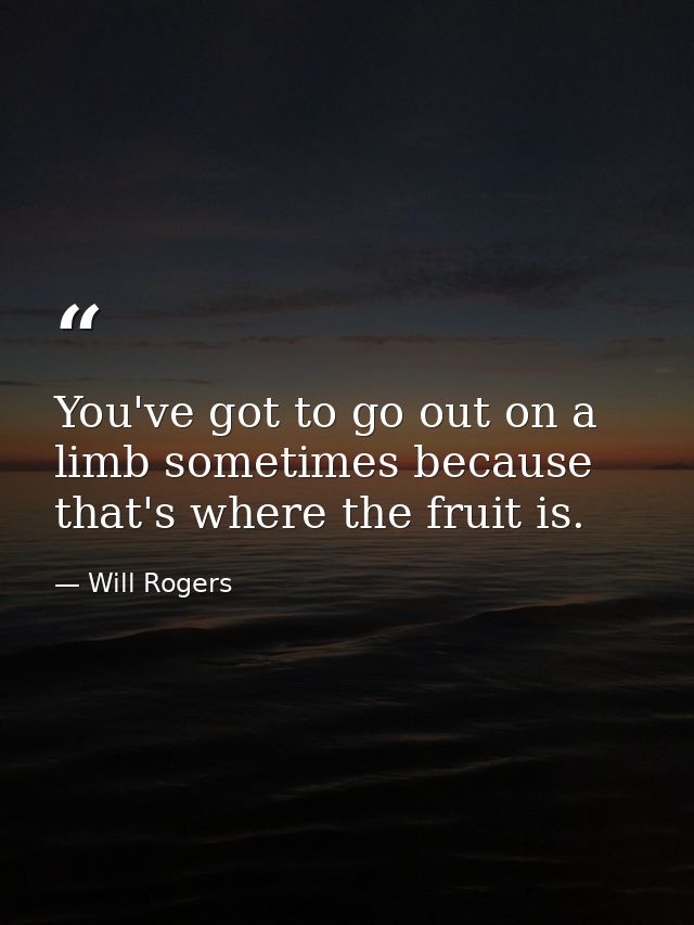 You've got to go out on a limb sometimes because that's where the fruit is. — Will Rogers
