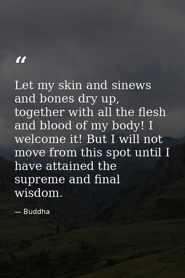 Let my skin and sinews and bones dry up, together with all the flesh and blood of my body! I welcome it! But I will not  — Buddha