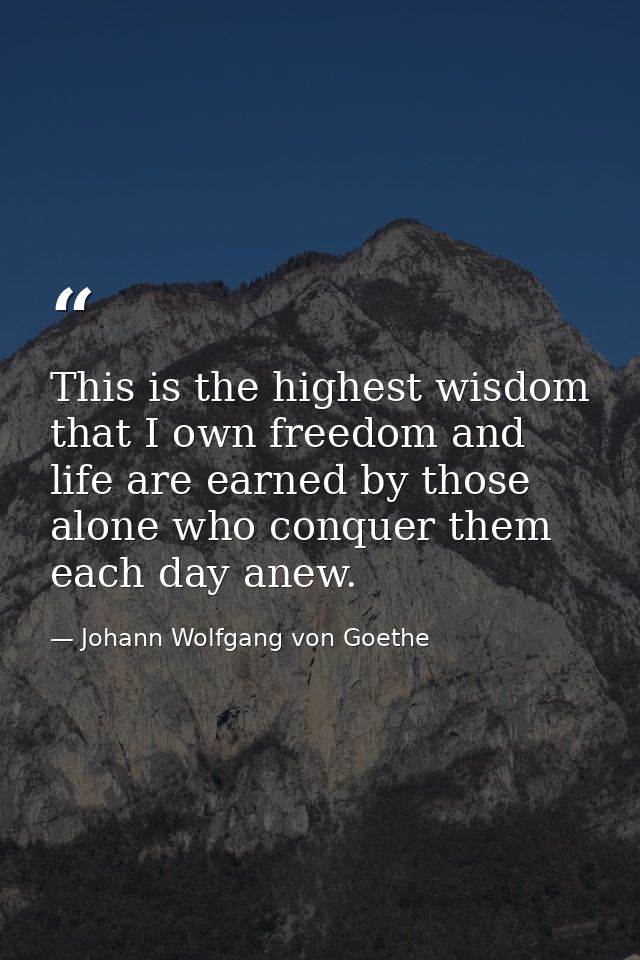 This is the highest wisdom that I own freedom and life are earned by those alone who conquer them each day anew. — Johann Wolfgang von Goethe