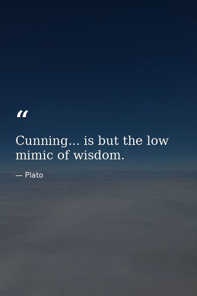 Cunning... is but the low mimic of wisdom. — Plato