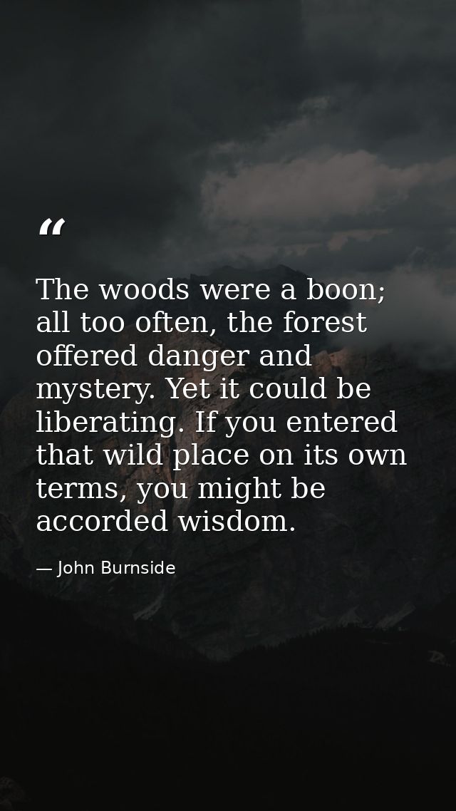 The woods were a boon; all too often, the forest offered danger and mystery. Yet it could be liberating. If you entered  — John Burnside