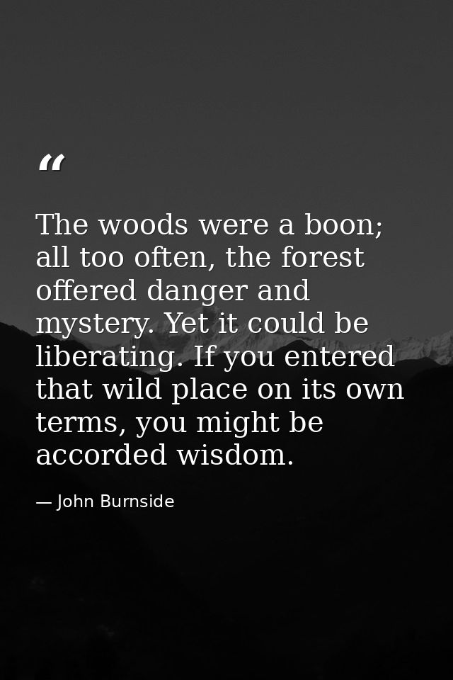 The woods were a boon; all too often, the forest offered danger and mystery. Yet it could be liberating. If you entered  — John Burnside