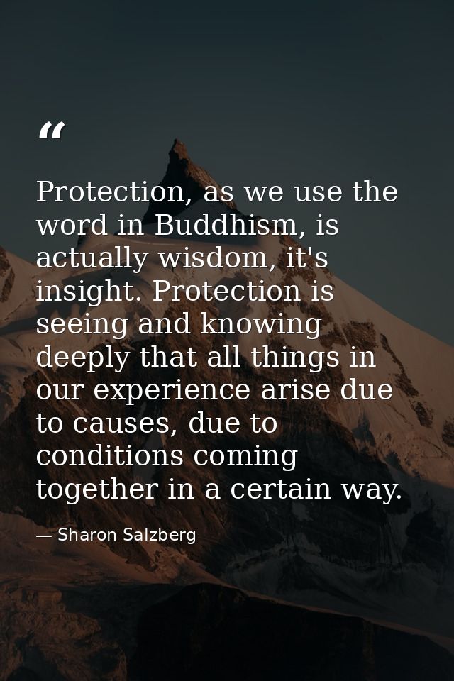 Protection, as we use the word in Buddhism, is actually wisdom, it's insight. Protection is seeing and knowing deeply th — Sharon Salzberg